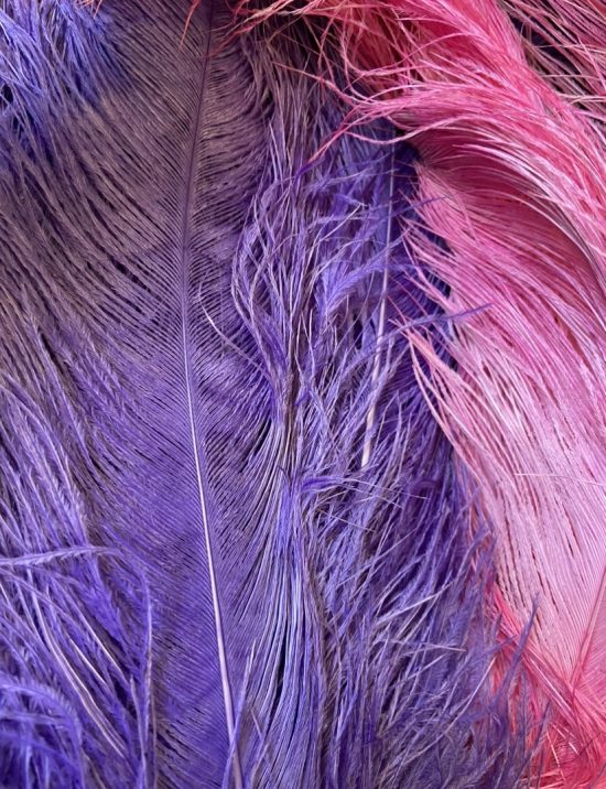 Ostrich Feather Plumes - Image 3