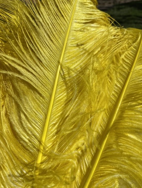 Ostrich Feather Plumes - Image 4