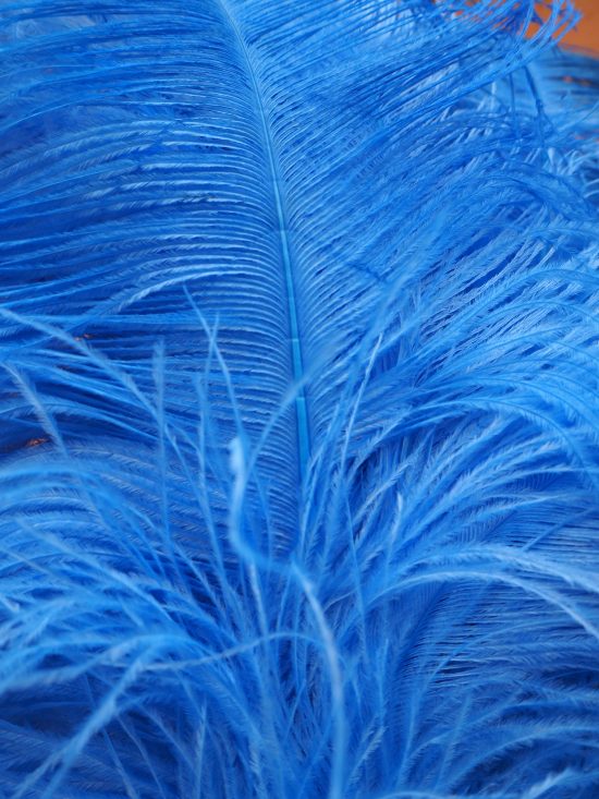 Ostrich Feather Plumes - Image 6